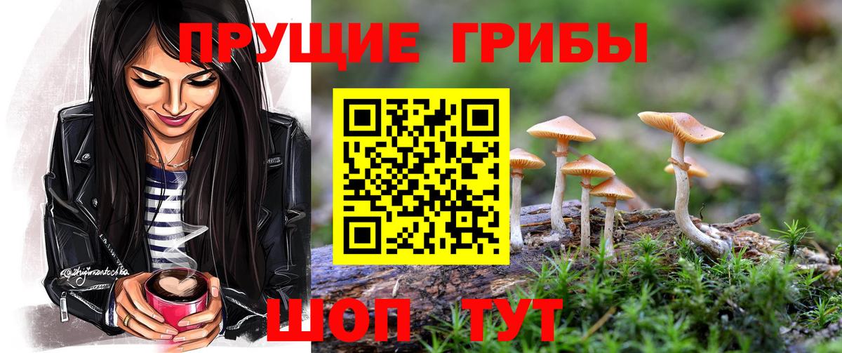 Галлюциногенные грибы мицелий Будённовск