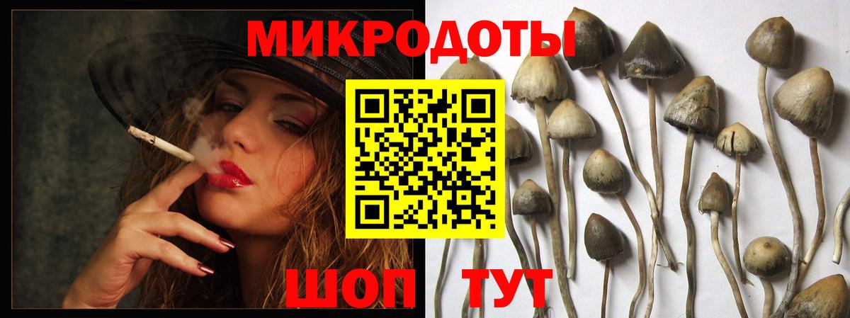Псилоцибиновые грибы прущие грибы  Вход с VPN  где можно купить наркотик  Псилоцибиновые грибы GOLDEN TEACHER  Будённовск 