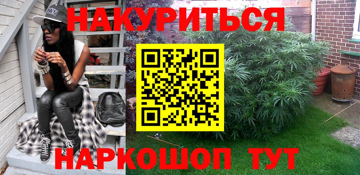 Конопля сатива  Марихуана OG Kush  Будённовск  Вход с VPN  Бошки Шишки OG Kush 